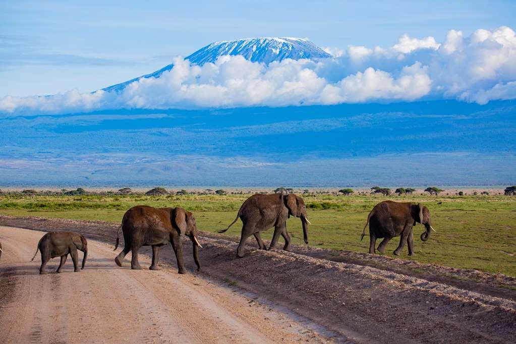 Amboseli Serena Safari Lodge מתקנים תמונה