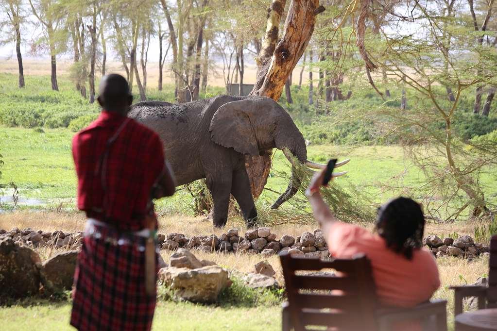 Amboseli Serena Safari Lodge מתקנים תמונה
