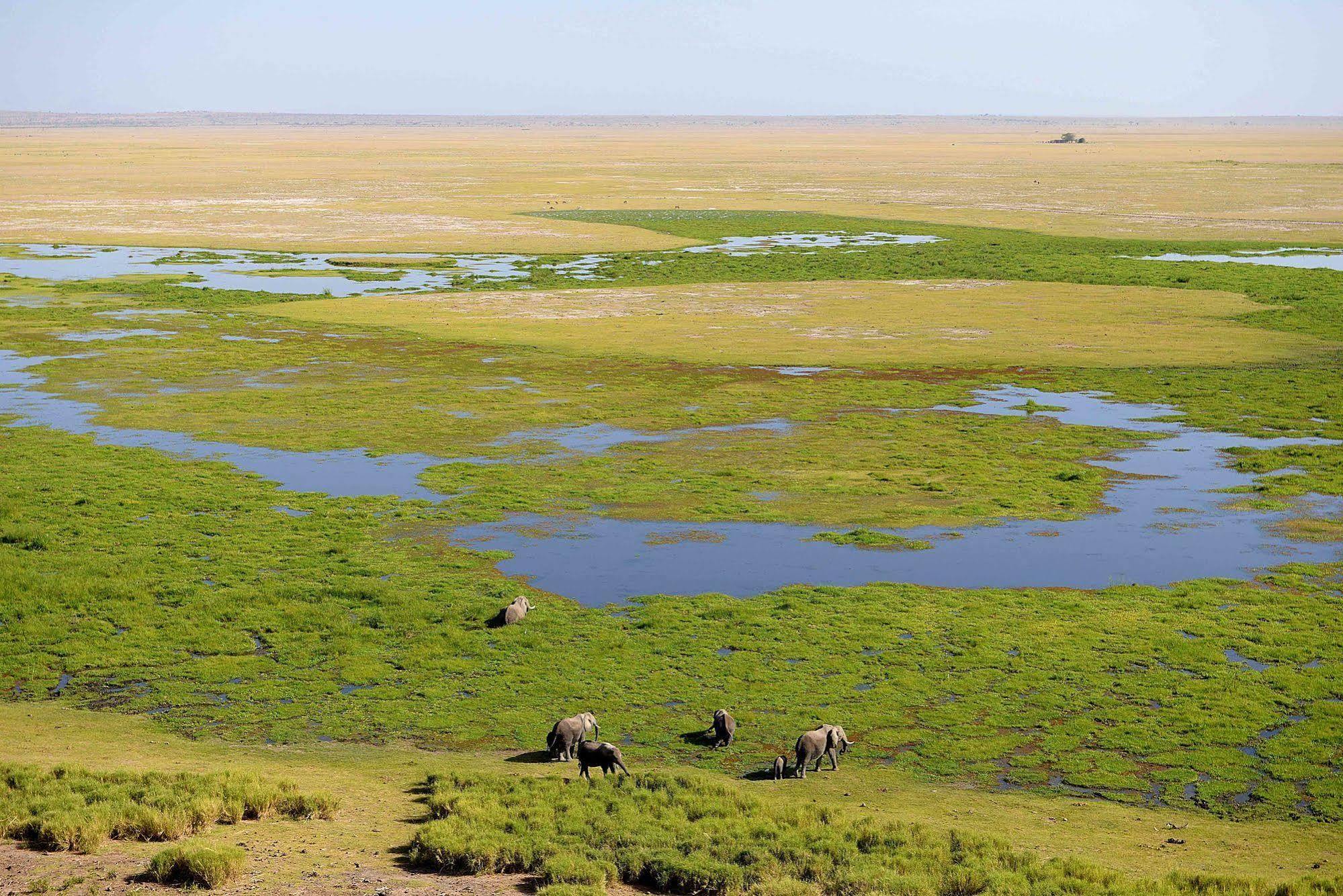 Amboseli Serena Safari Lodge מראה חיצוני תמונה